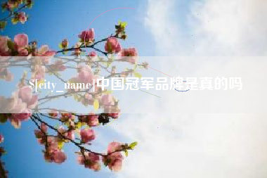 邵阳县中国冠军品牌是真的吗