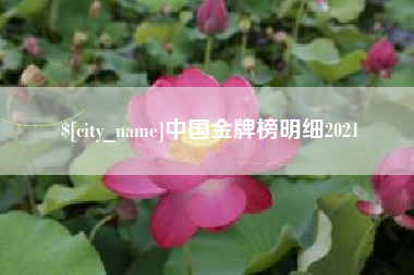 邵阳县中国金牌榜明细2021