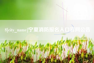邵阳县宁夏消防报名入口官网公告