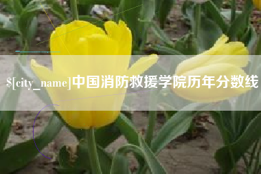 邵阳县中国消防救援学院历年分数线