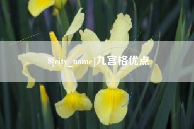 邵阳县九宫格优点