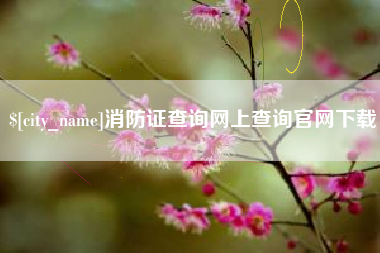 邵阳县消防证查询网上查询官网下载