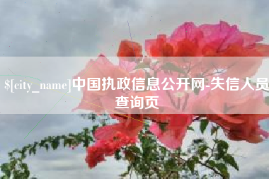 邵阳县中国执政信息公开网-失信人员查询页