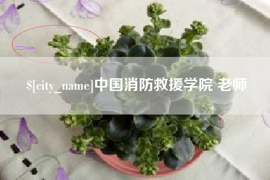 邵阳县中国消防救援学院 老师