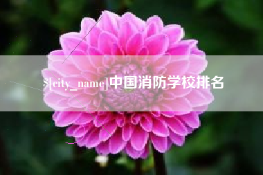 邵阳县中国消防学校排名
