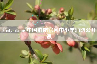 邵阳县中国消防官网中小学消防公开课