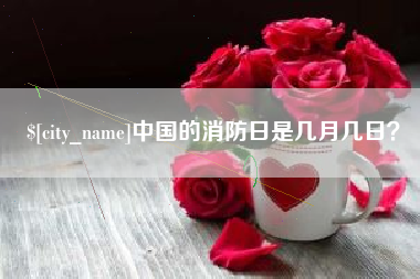 邵阳县中国的消防日是几月几日？