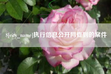 邵阳县执行信息公开网查到的案件