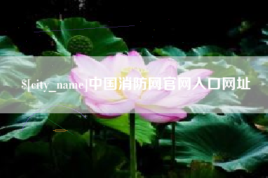 邵阳县中国消防网官网入口网址