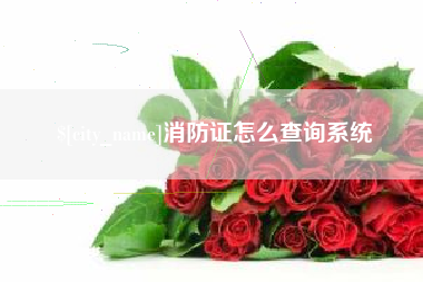邵阳县消防证怎么查询系统