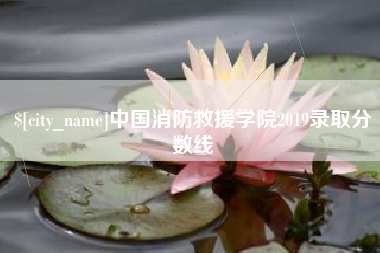 邵阳县中国消防救援学院2019录取分数线