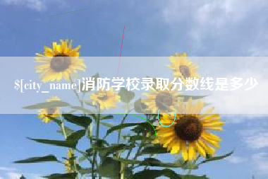 邵阳县消防学校录取分数线是多少