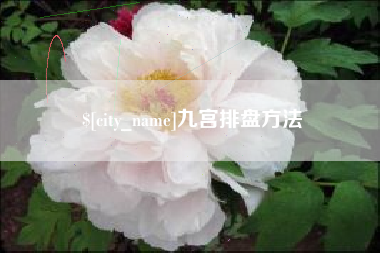 邵阳县九宫排盘方法