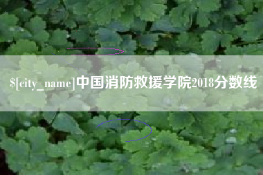 邵阳县中国消防救援学院2018分数线