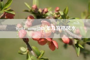 邵阳县2021年九宫格风水