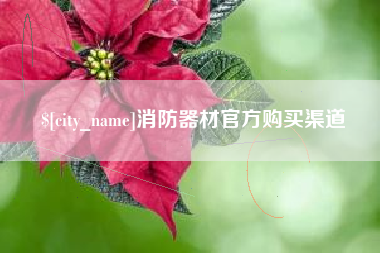 邵阳县消防器材官方购买渠道