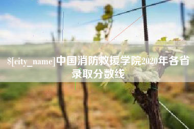 邵阳县中国消防救援学院2020年各省录取分数线