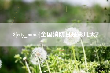 邵阳县全国消防日是第几天？