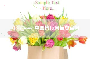 邵阳县中国执行网信息官网