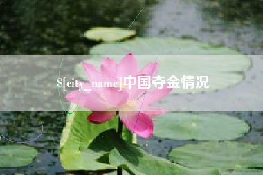 邵阳县中国夺金情况