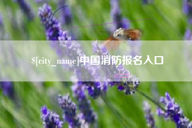 邵阳县中国消防报名入口