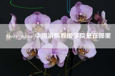 邵阳县中国消防救援学院是在哪里