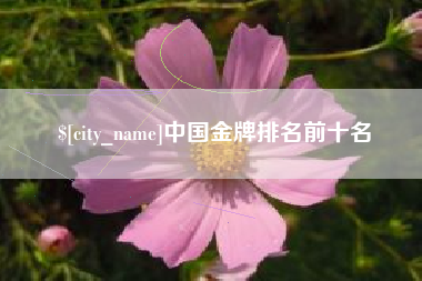 邵阳县中国金牌排名前十名