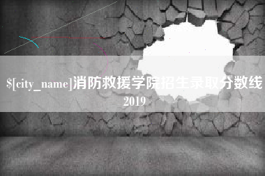邵阳县消防救援学院招生录取分数线2019