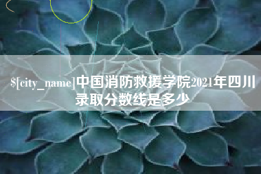 邵阳县中国消防救援学院2021年四川录取分数线是多少
