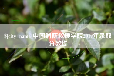 邵阳县中国消防救援学院2019年录取分数线