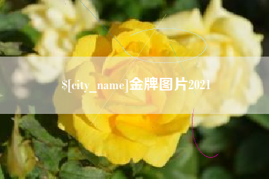 邵阳县金牌图片2021