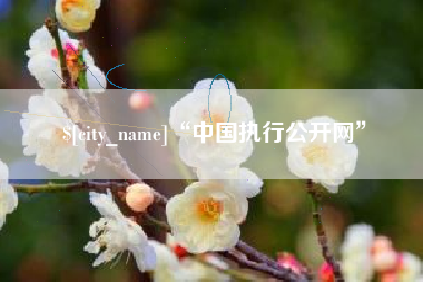 邵阳县“中国执行公开网”