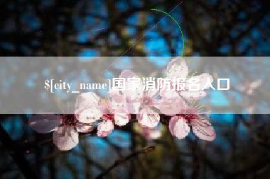 邵阳县国家消防报名入口