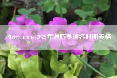邵阳县2025年消防员报名时间表格