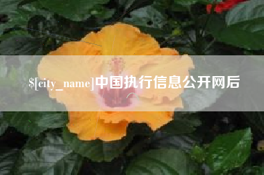 邵阳县中国执行信息公开网后