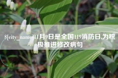 邵阳县11月9日是全国119消防日,为积极推进修改病句