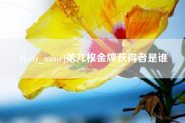 邵阳县第九枚金牌获得者是谁