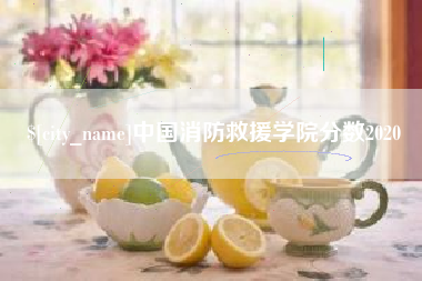 邵阳县中国消防救援学院分数2020