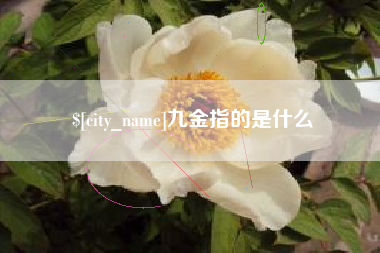 邵阳县九金指的是什么