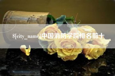 邵阳县中国消防学院排名前十