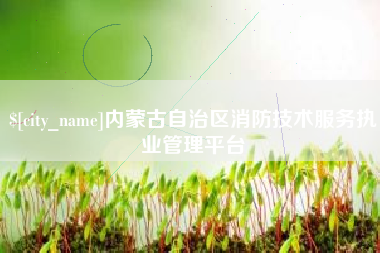 邵阳县内蒙古自治区消防技术服务执业管理平台