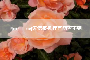邵阳县失信被执行官网查不到