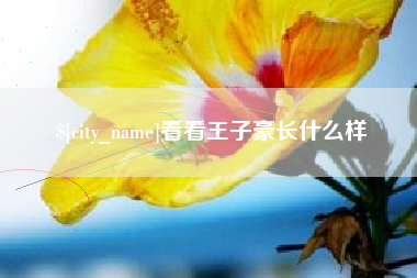 邵阳县看看王子豪长什么样