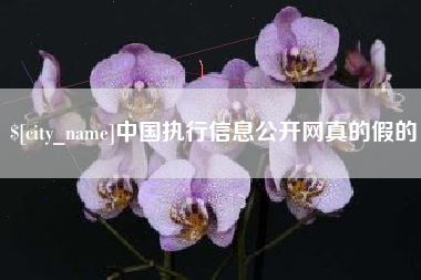 邵阳县中国执行信息公开网真的假的