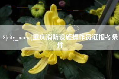 邵阳县重庆消防设施操作员证报考条件