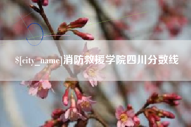 邵阳县消防救援学院四川分数线