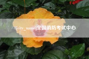 邵阳县全国消防考试中心