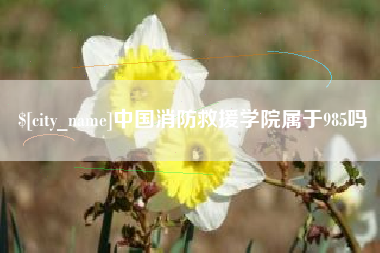 邵阳县中国消防救援学院属于985吗