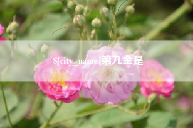 邵阳县第九金是