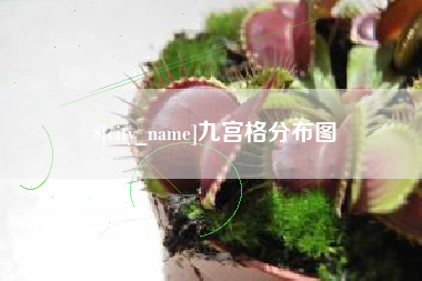 邵阳县九宫格分布图